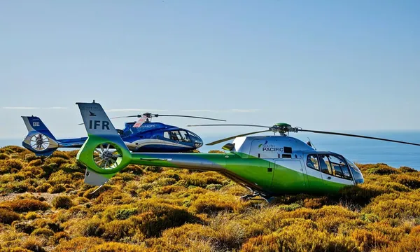 1 hour Premier Whale Watching Helicopter Flight 
