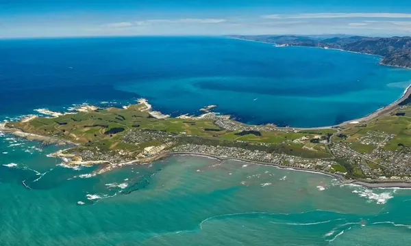 1 hour Premier Whale Watching Helicopter Flight 