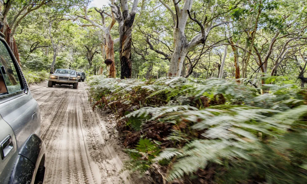 K'gari 4WD and Camping Adventure - 3 Days | Experience Oz-6