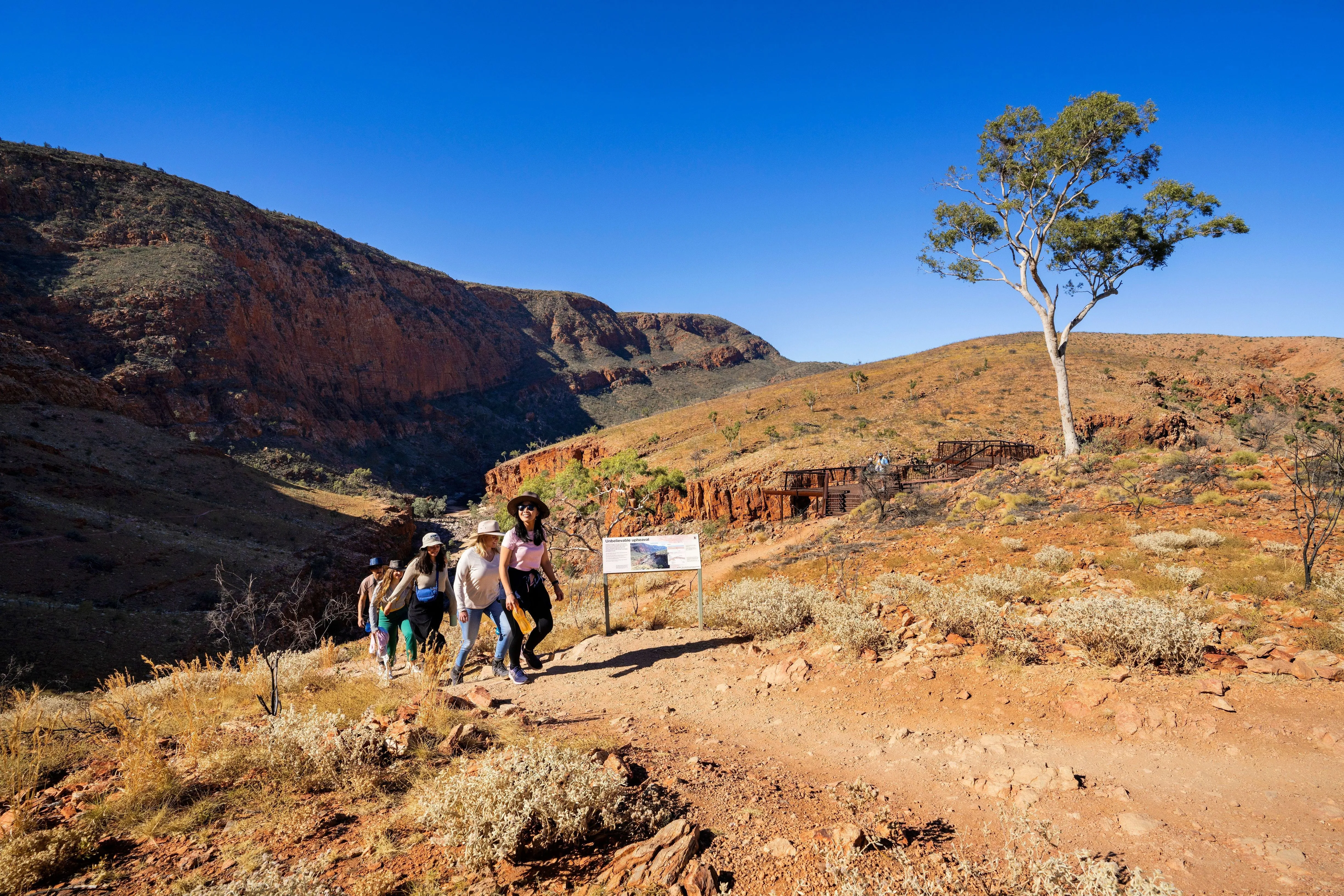 West MacDonnell Ranges Day Tour | Experience Oz-5