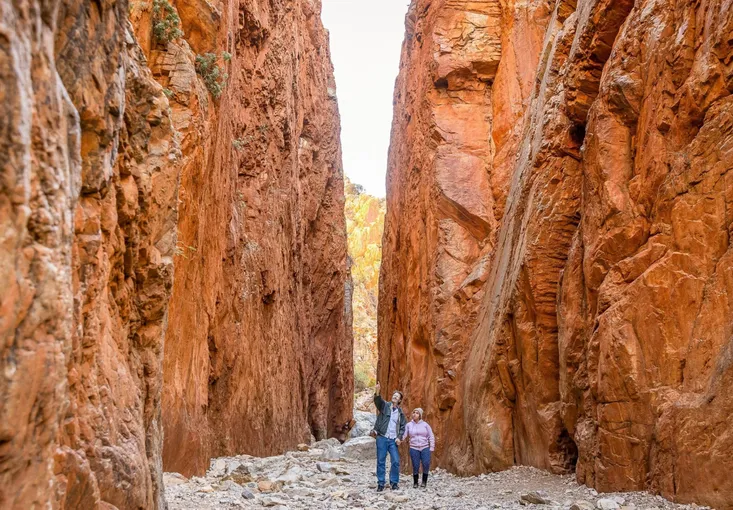 West MacDonnell Ranges Day Tour | Experience Oz