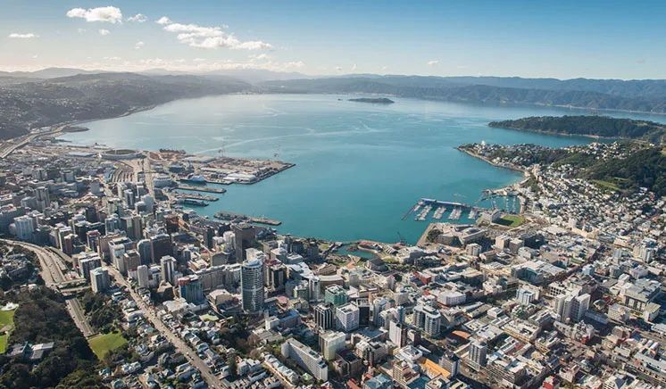 Helicopter Flight - Wellington Harbour  Flight | Everything New Zealand-4