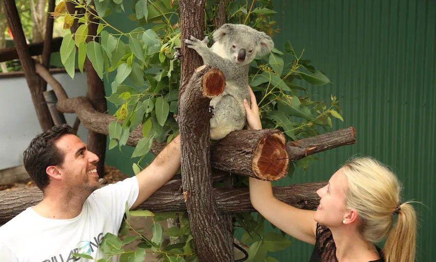 Wildlife Habitat Breakfast with Birds & Admission | Experience Oz