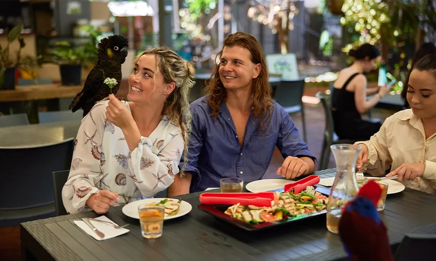 Wildlife Habitat Breakfast with Birds & Admission | Experience Oz