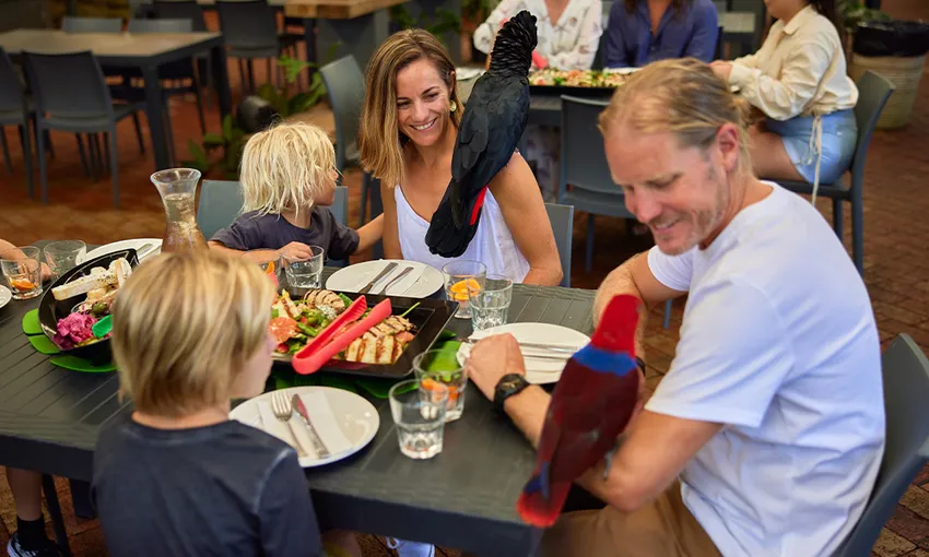 Wildlife Habitat Breakfast with Birds & Admission | Experience Oz