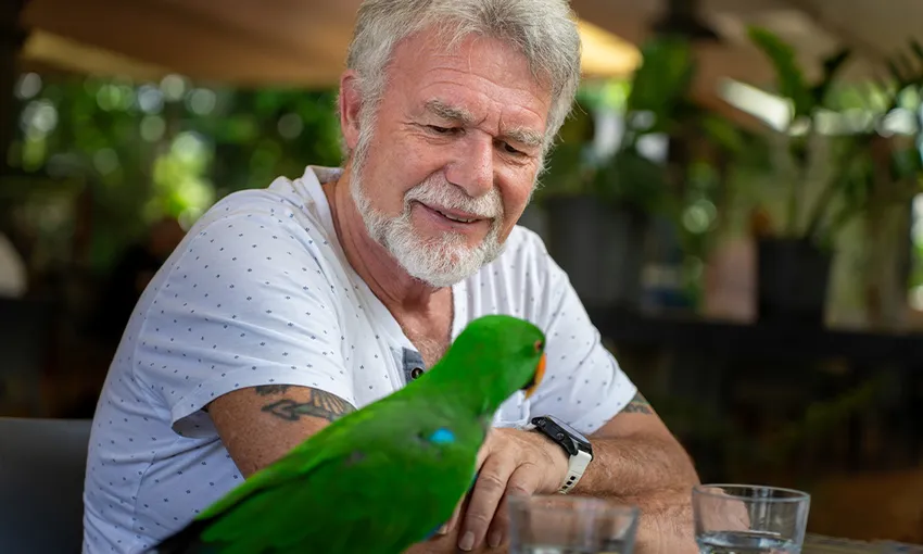 Wildlife Habitat Breakfast with Birds & Admission | Experience Oz