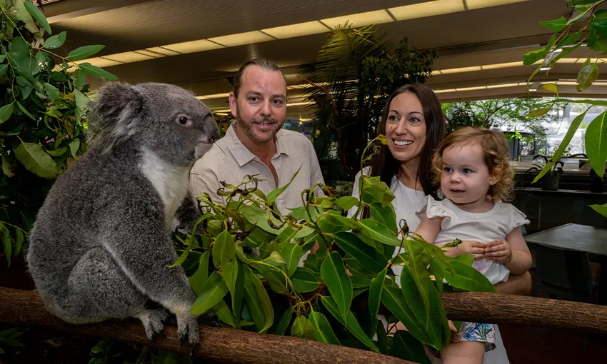 Wildlife Habitat Breakfast with Birds & Admission | Experience Oz