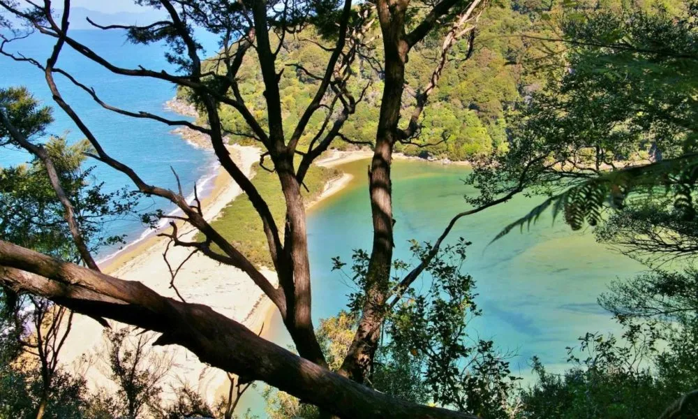 Abel Tasman National Park Discoverer Day Tours | Everything New Zealand-5