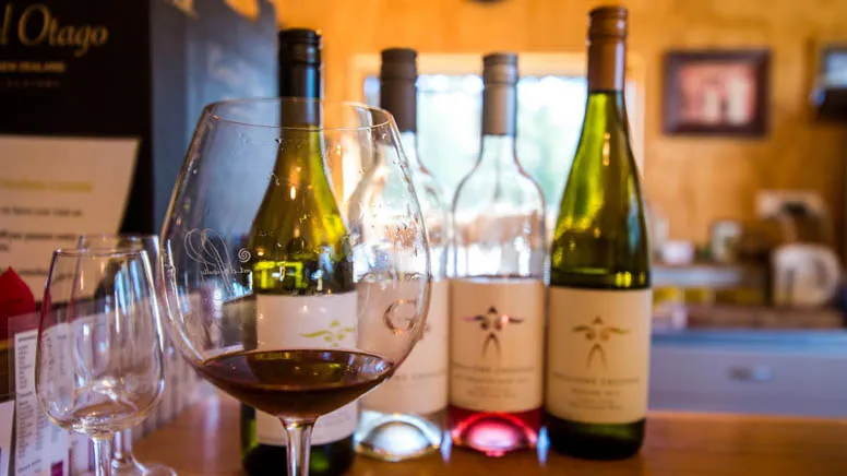 Wanaka Boutique Wine Tours | Everything New Zealand-3