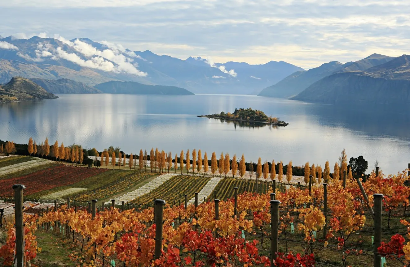 Wanaka Boutique Wine Tours | Everything New Zealand-4