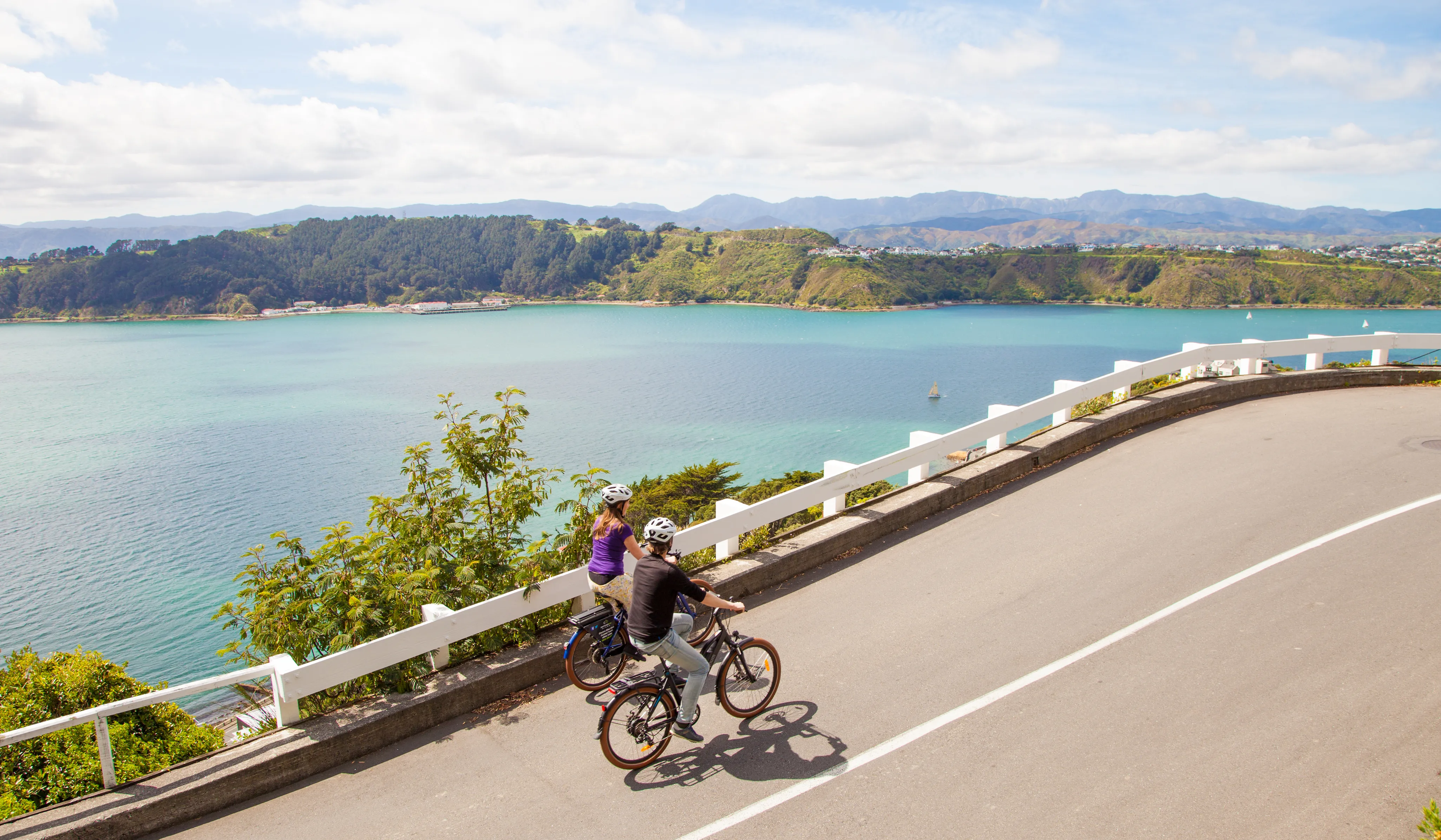 Bike Tours - Electric Bike Hire | Everything New Zealand-1