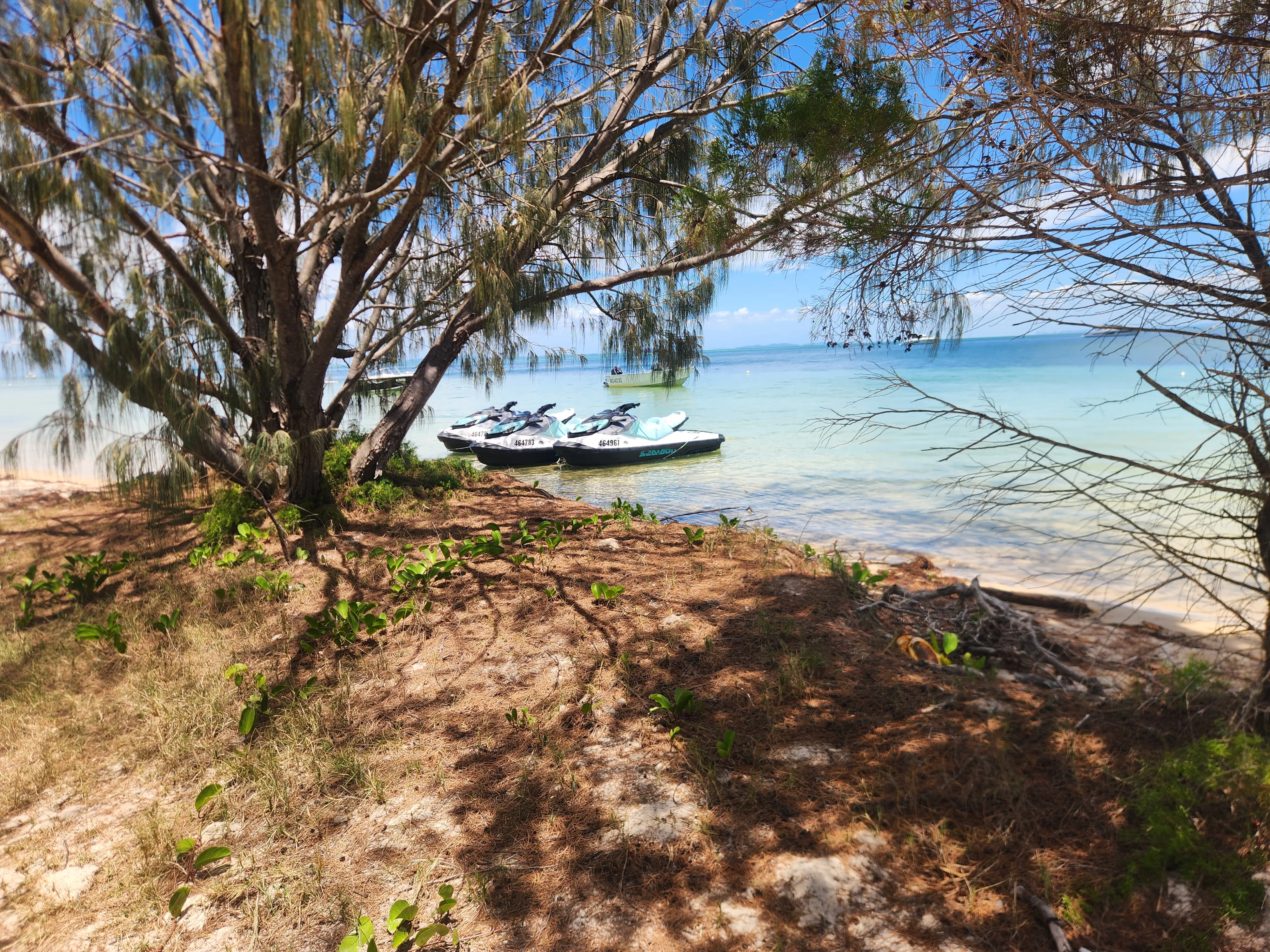 Brisbane Jet Ski Tour to Kooringal - 4 Hours | Experience Oz-5