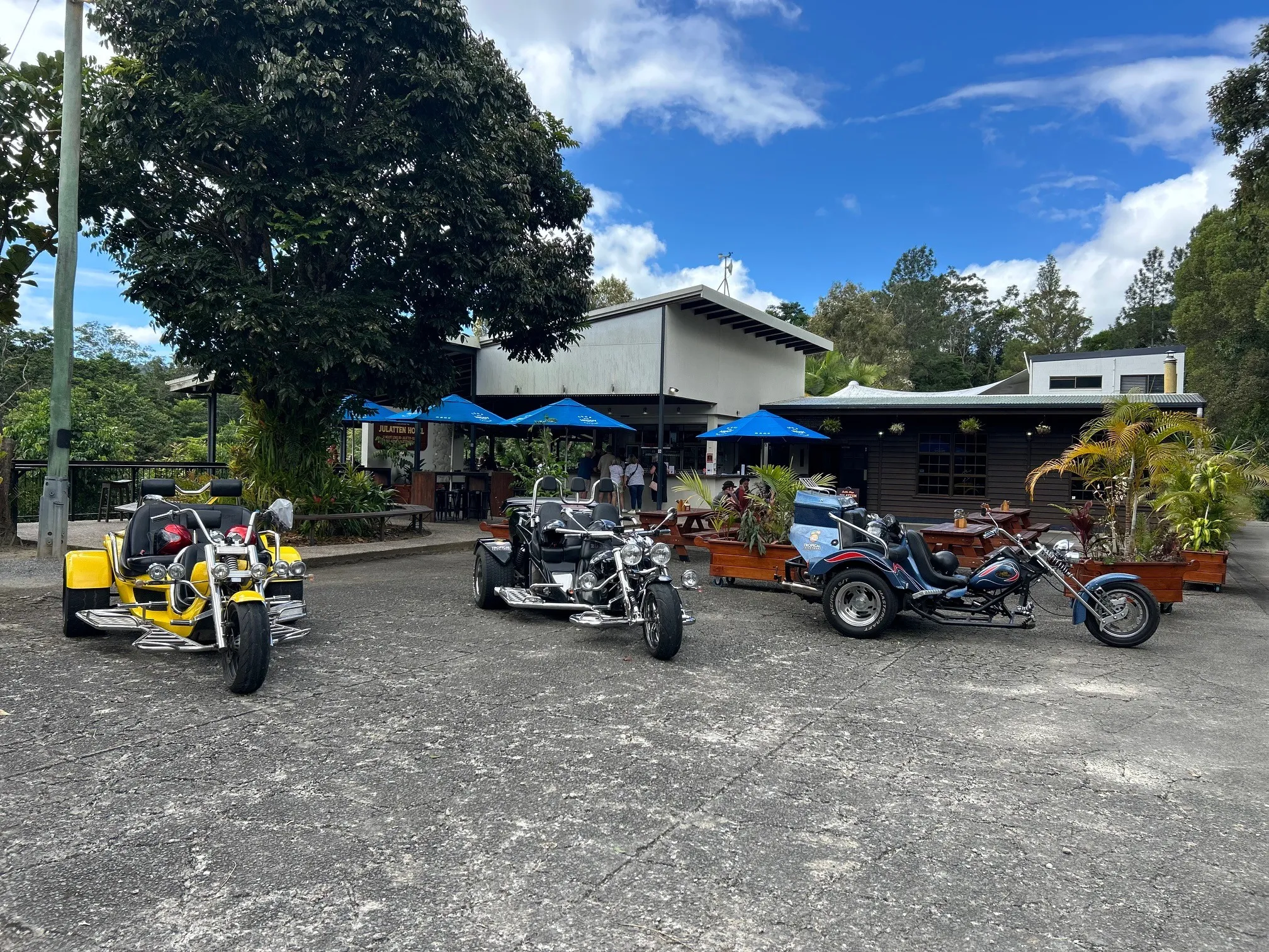 Trike Tour, Julatten Range & Hotel - 2.5 Hours | Experience Oz-3