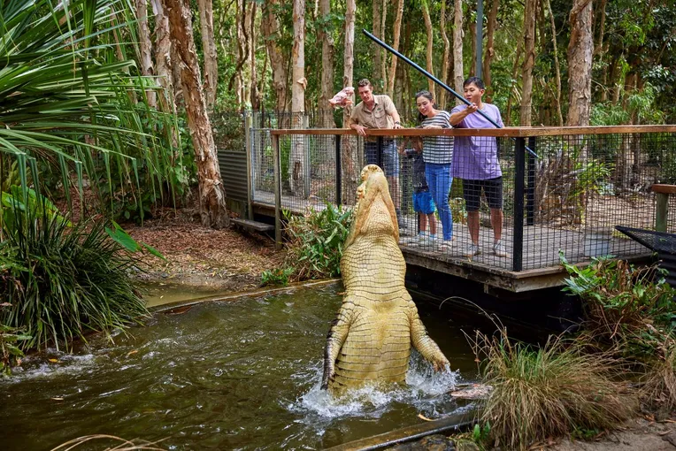 Hartleys Crocodile Adventures & Kuranda Combo | Experience Oz