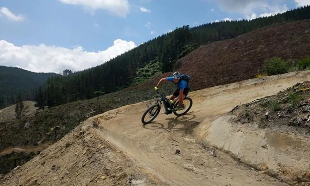 Full Day Electric Bike Hire Rotorua | Everything New Zealand-4