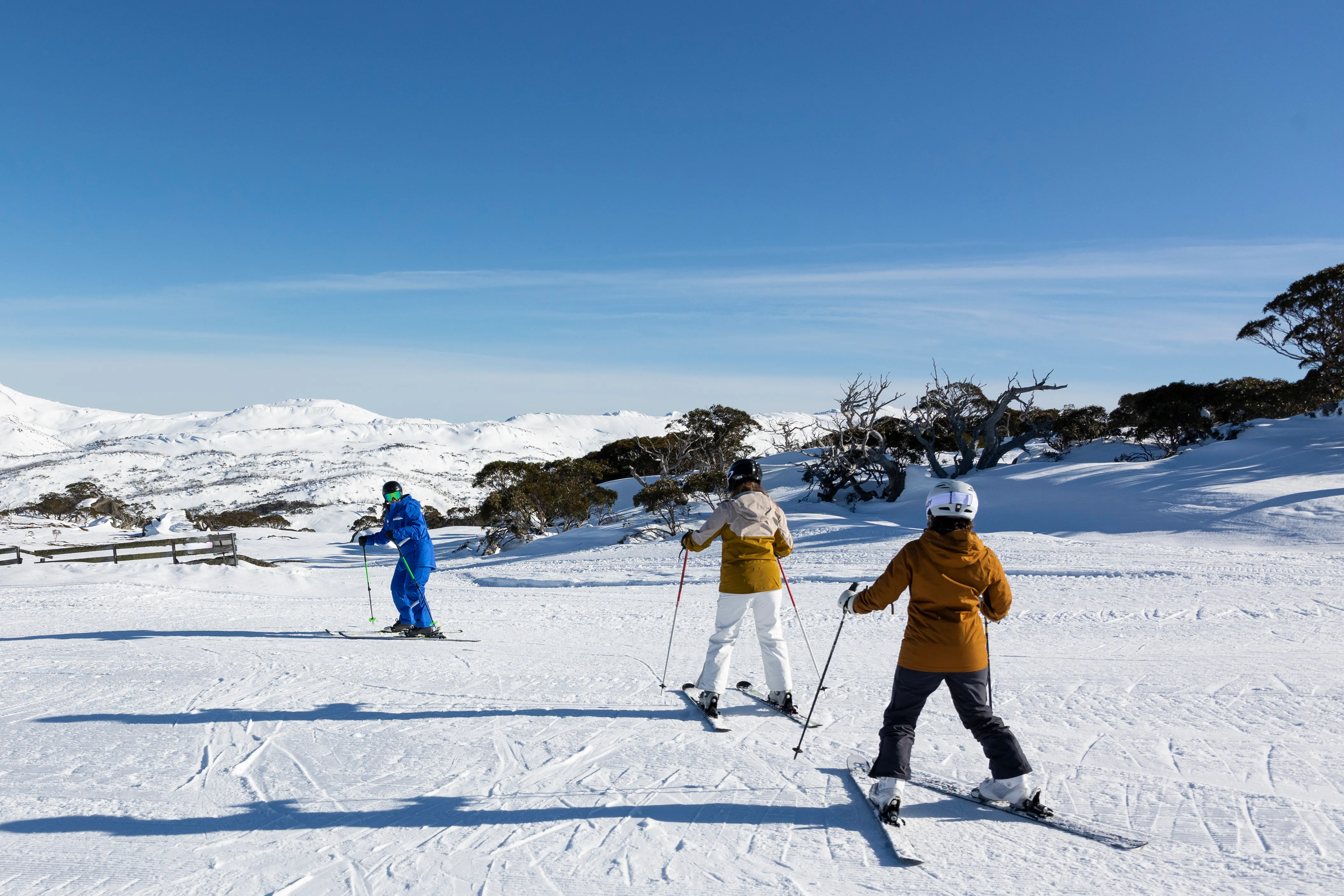 Learn to Ski Adult Package - From Sydney | Experience Oz-1