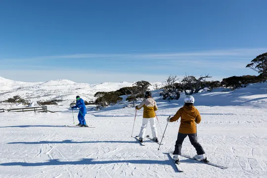 Snowy Mountains Learn to Ski Adult Package - From Sydney