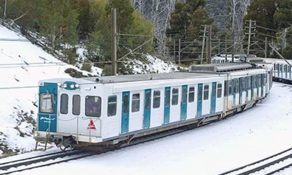 Learn to Ski Adult Package - From Sydney | Experience Oz-5
