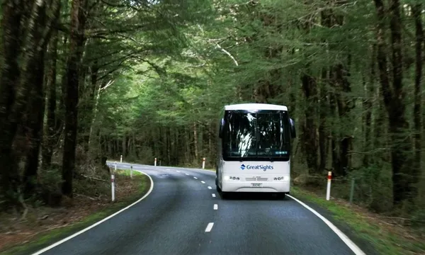 Fox Glacier to Queenstown One Way
