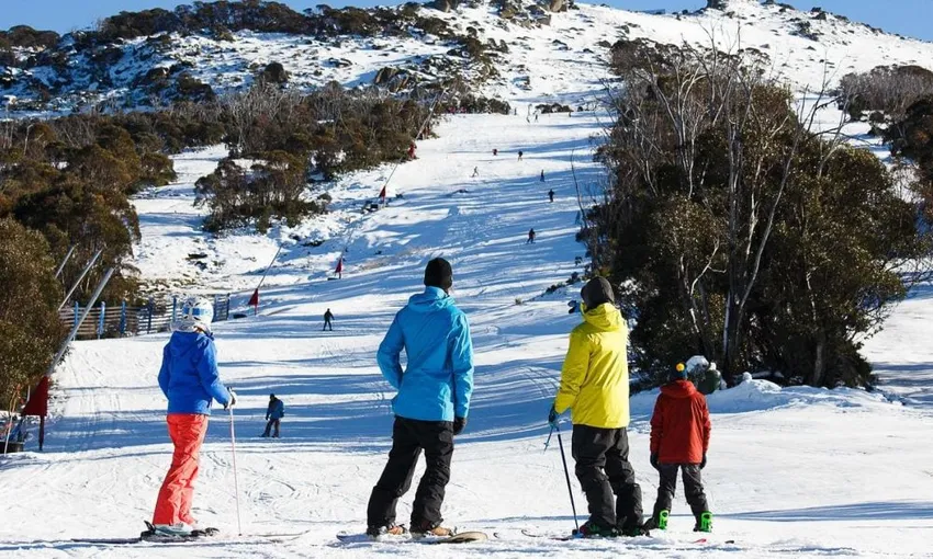 Thredbo or Perisher Snow Trip From Canberra | Experience Oz