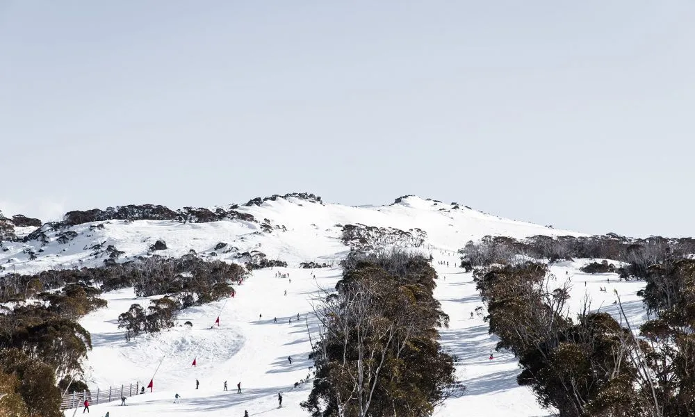 Thredbo or Perisher Snow Trip From Canberra | Experience Oz-4