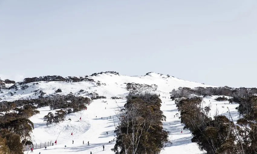 Thredbo or Perisher Snow Trip From Canberra | Experience Oz