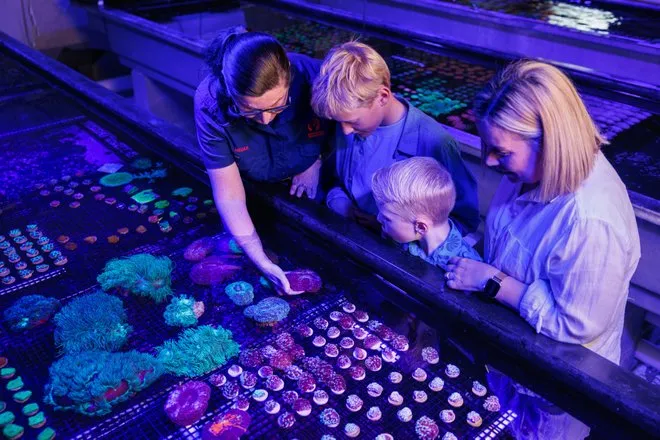 Bundaberg Guided Coral Farm Tour - 1 Hour | Experience Oz-1