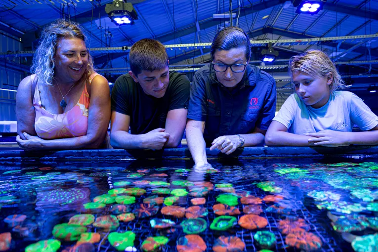 Bundaberg Guided Coral Farm Tour - 1 Hour | Experience Oz
