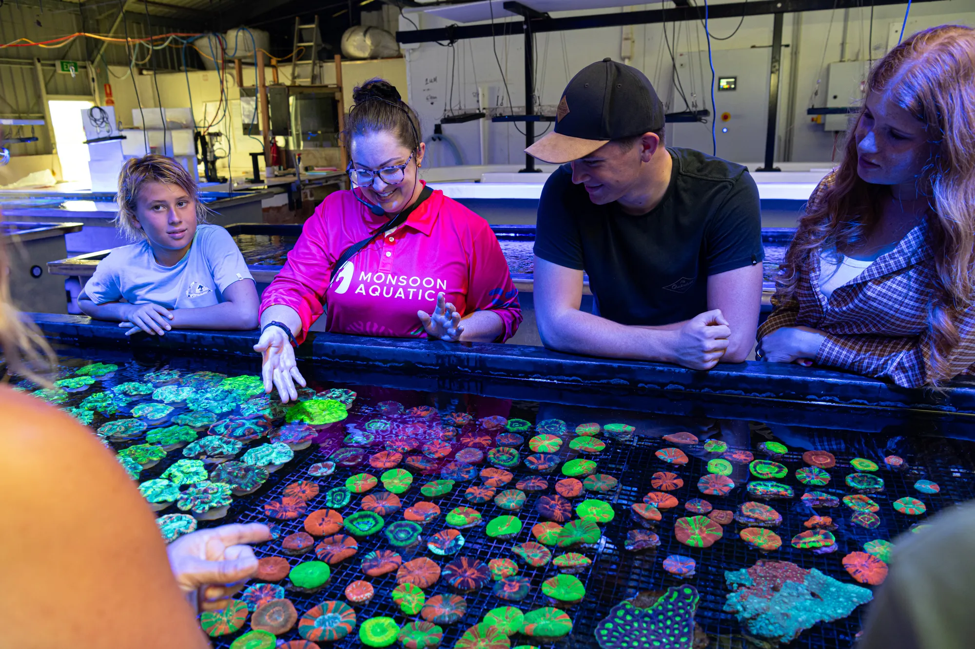 Bundaberg Guided Coral Farm Tour - 1 Hour | Experience Oz-7