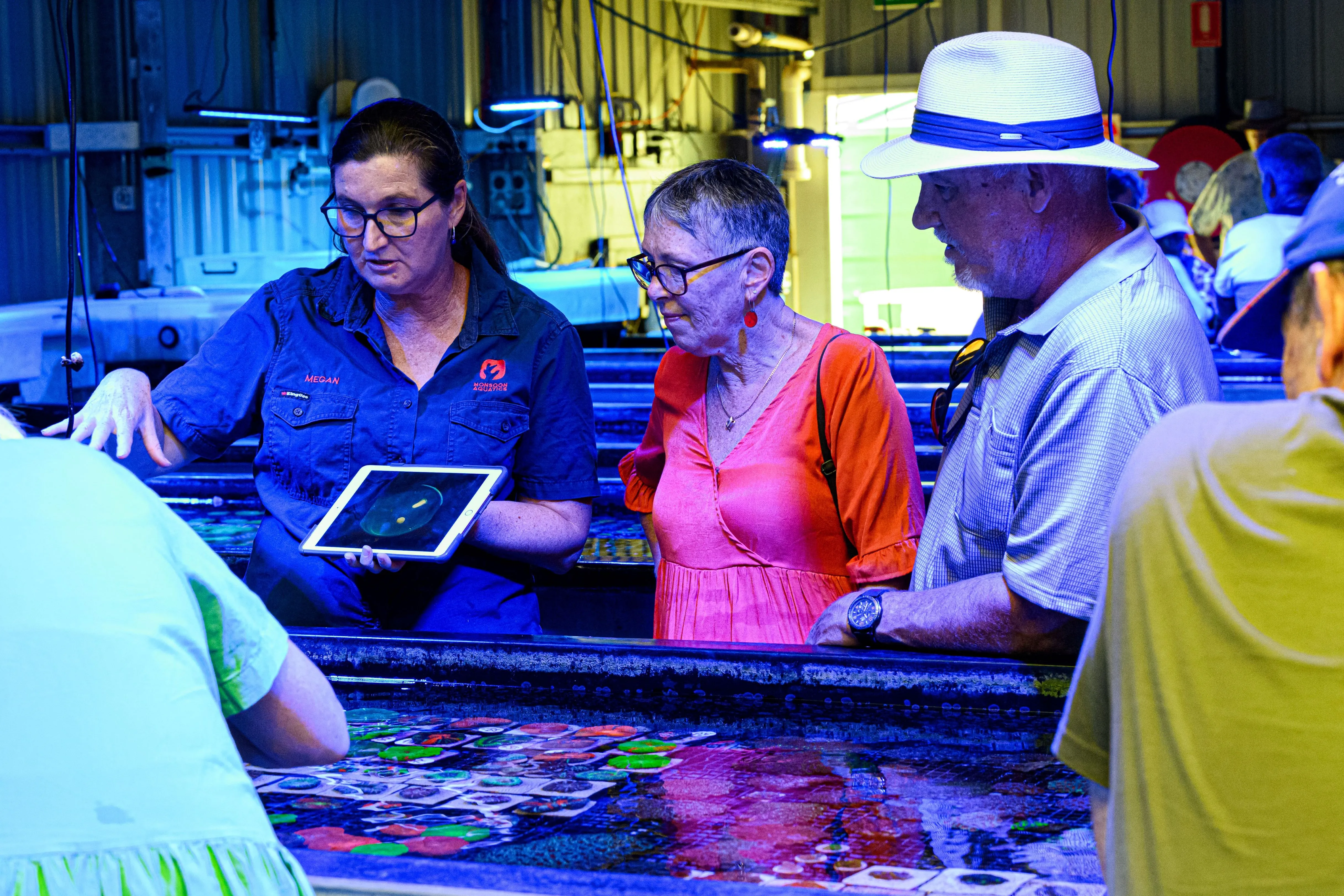 Bundaberg Guided Coral Farm Tour - 1 Hour | Experience Oz-6