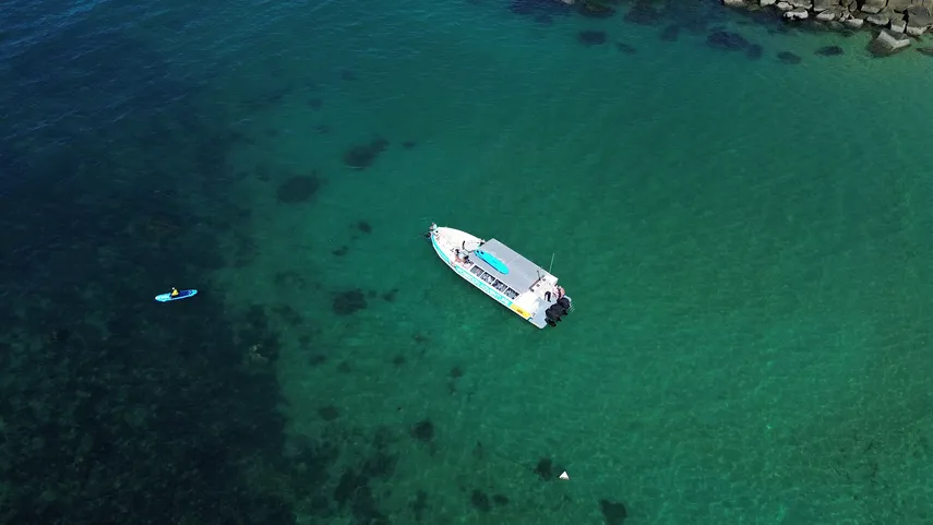 Magnetic Island Boat Tour with Snorkelling | Experience Oz