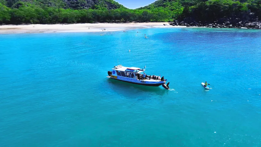 Magnetic Island Boat Tour with Snorkelling | Experience Oz