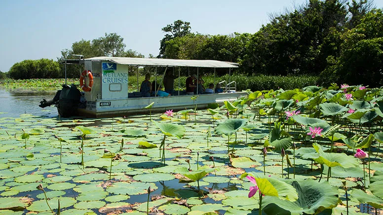 Corroboree Billabong Lunch Cruise - 2.5 Hours | Experience Oz-5