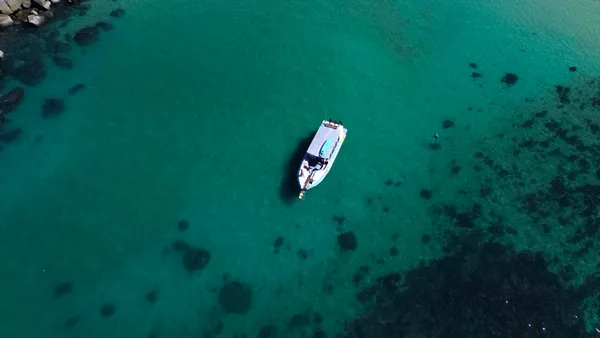 Guided Boat Tour & Snorkelling, Half Day - Magnetic Island