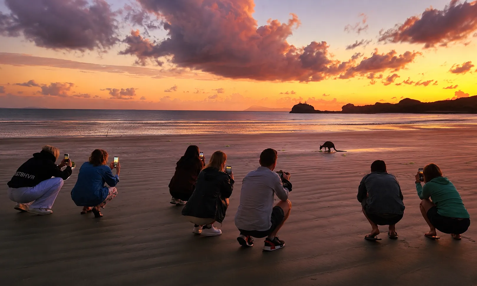 Cape Hillsborough Sunrise with Kangaroos | Experience Oz-3