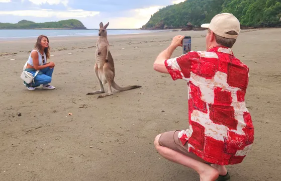 Cape Hillsborough Sunrise with Kangaroos Tour - 7 Hours 