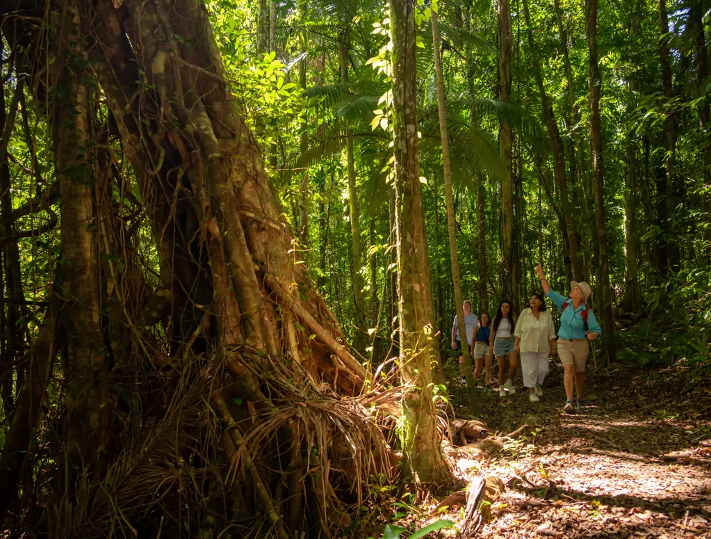 Whitsundays Rainforest To Reef Nature Walk | Experience Oz-3
