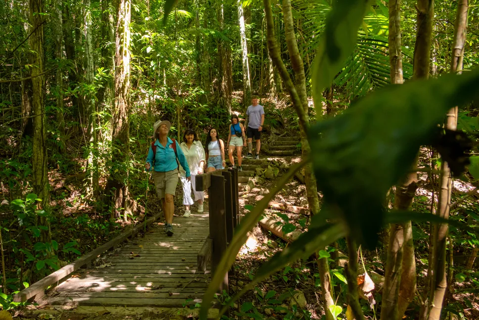Whitsundays Rainforest To Reef Nature Walk | Experience Oz-1