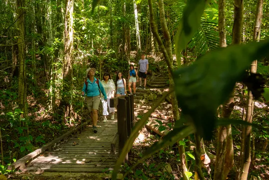 Whitsundays Rainforest To Reef Nature Walk - 4 Hours