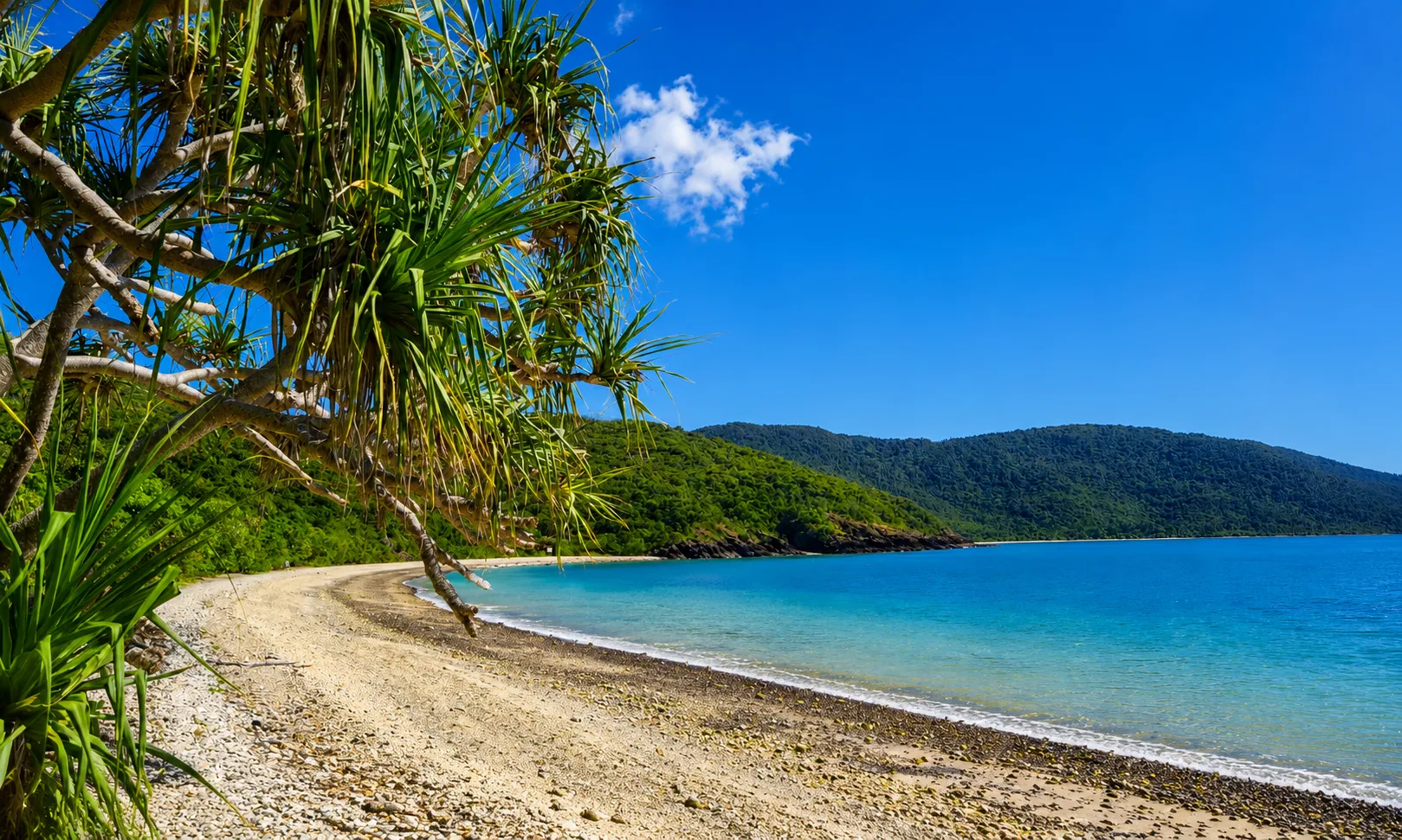 Whitsundays Rainforest To Reef Nature Walk | Experience Oz-4