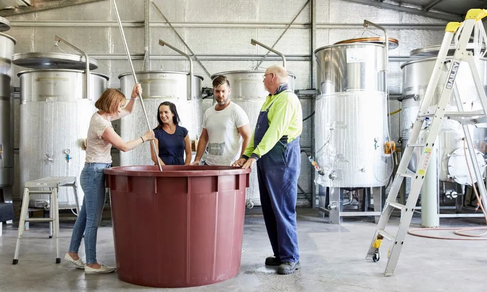 Granite Belt Estate Immersive Winemaking Experience - 2 Hours | Experience Oz-3