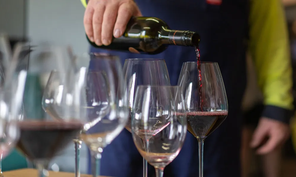 Granite Belt Winemakers Tasting Experience - 2 Hours | Experience Oz-6