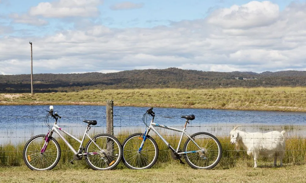 Granite Belt Wine & Leisure in the Vineyard - For 2 | Experience Oz-3