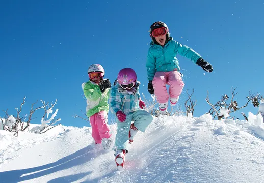 Snow Play Tour, Full Day - Snowy Mountains from Sydney