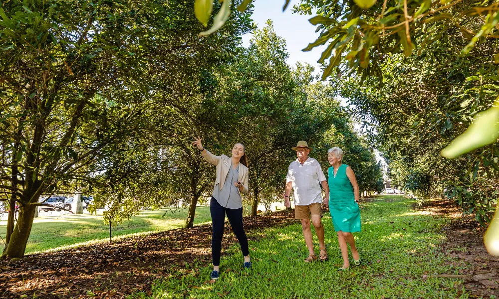Macadamias Australia Orchard & History Tour | Experience Oz-1