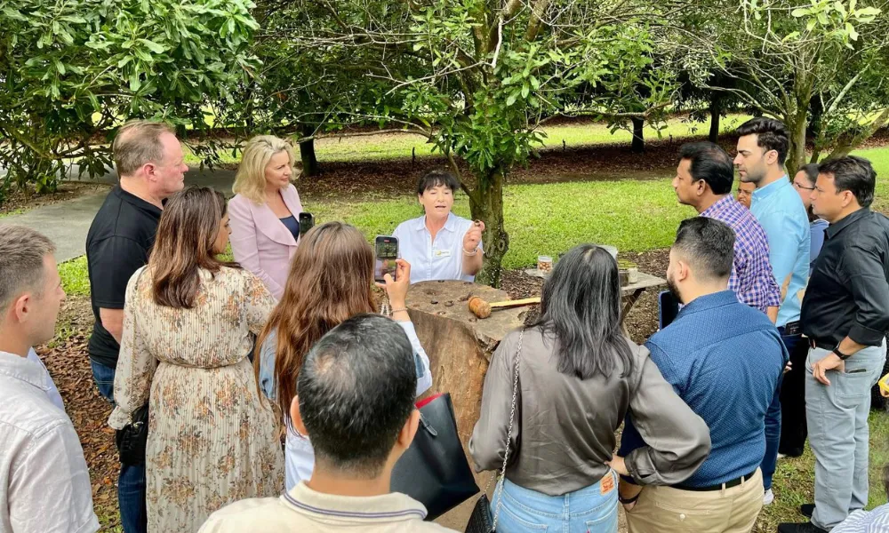 Macadamias Australia Orchard & History Tour | Experience Oz-2
