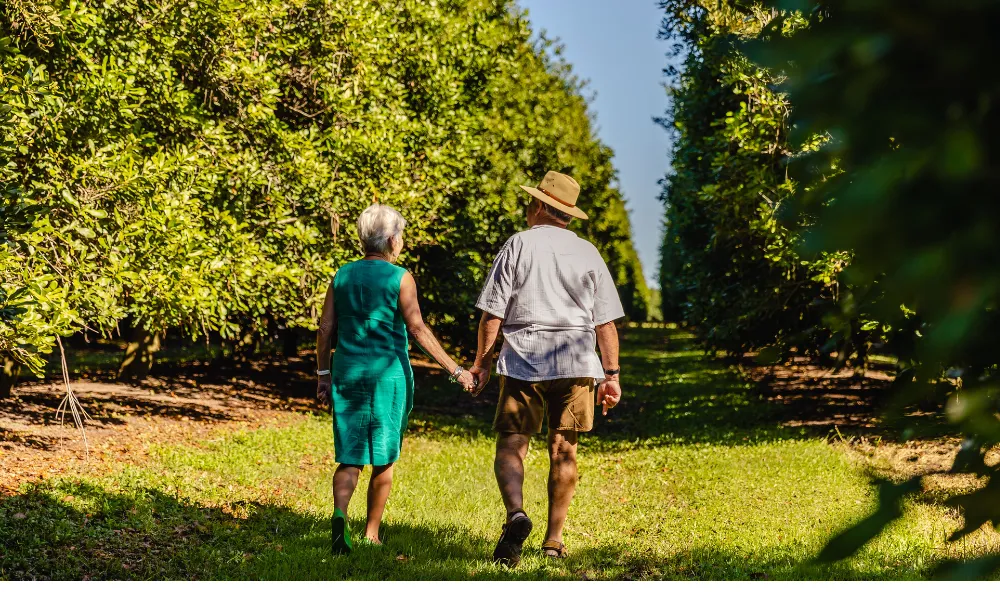 Macadamias Australia Orchard & History Tour | Experience Oz-3