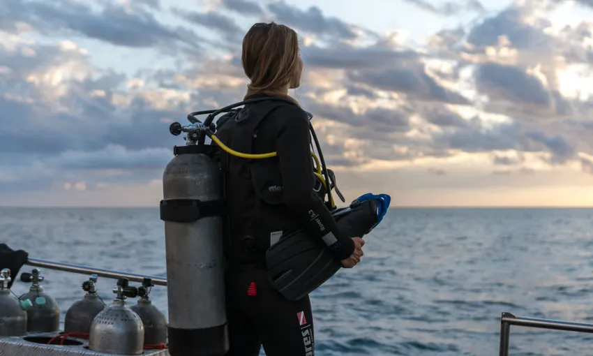 Great Barrier Reef Overnight Snorkel Cruise | Experience Oz