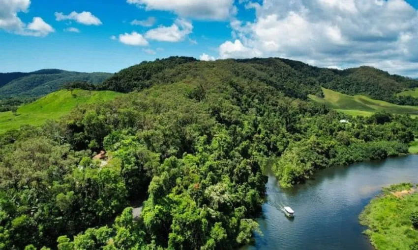Daintree Village Crocodile Express Cruise - 1 Hour | Experience Oz