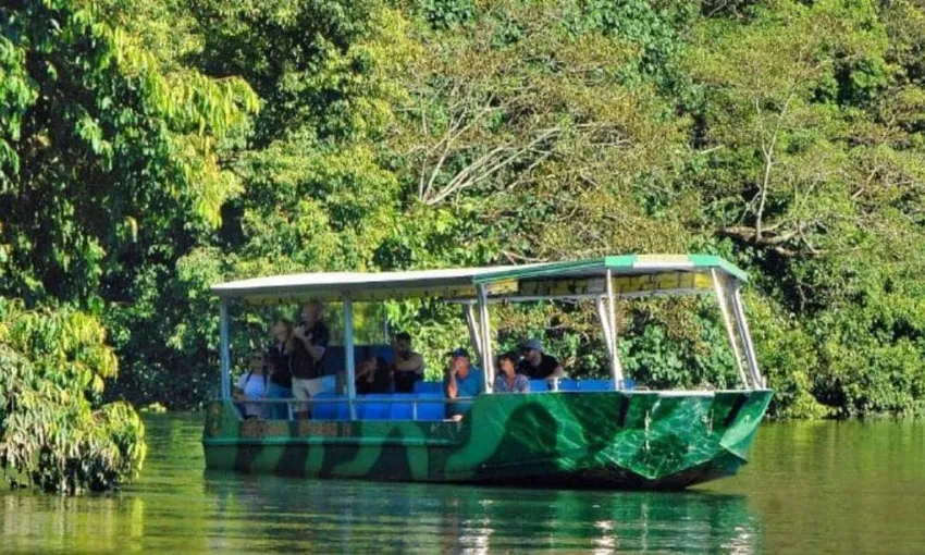 Daintree Village Crocodile Express Cruise - 1 Hour | Experience Oz